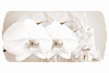 Стол обеденный раскладной Бостон-3 опора брифинг-хром (Лунная орхидея)